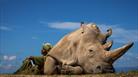 Winner, Travel Photographer of the
Year 2022
Matjaz
Krivic, Slovenia