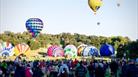 Hot air balloons taking off at Longleat