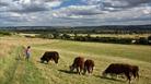 North Wessex Downs AONB