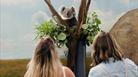 two women looking up at a koala in a tree