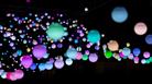 SquidSoup immersive artworks