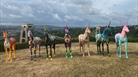 UnicornFest unicorn infront of Clifton Suspension Bridge