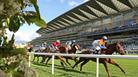May Racing at Ascot