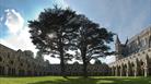 Salisbury Cathedral's famous Cloisters (C) Ash Mills