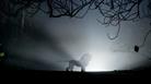 Lion statue illuminated from behind