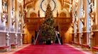 Christmas tree in St George's Hall | © Royal Collection Enterprises Limited 2024 | Royal Collection Trust