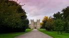 Purple sky over Windsor Castle