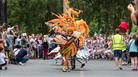 Bath Carnival