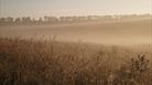 Stonehenge Landscape