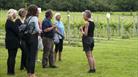 Aldwick Estate vineyard tour
