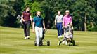 A group of 4 men wheeling gold caddies on a golf course