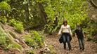 Visitors walking through the woods at Tyntesfield.