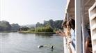 two women feeding sea lions over edge of boat