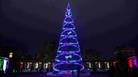 The Festival of Light at Christmas 2019