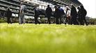 Royal Ascot Trials Day