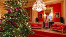 Christmas tree in the Crimson Drawing Room at Windsor Castle | © Royal Collection Enterprises Limited 2024 | Royal Collection Trust