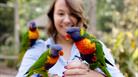 women feeding lorikeets, one on each hand and one on her shoulder