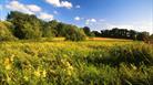 Jones's Mill Nature Reserve