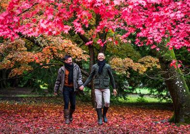 Westonbirt, The National Arboretum