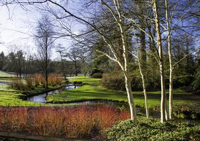 The Savill Garden