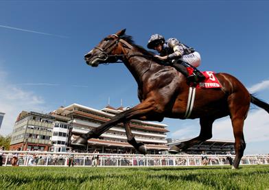 Newbury Racecourse