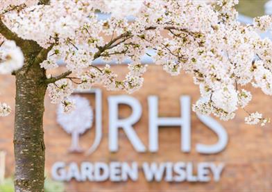 RHS Garden Wisley