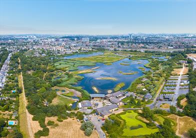 London Wetlands Centre