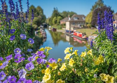 flowers surrounding the canal