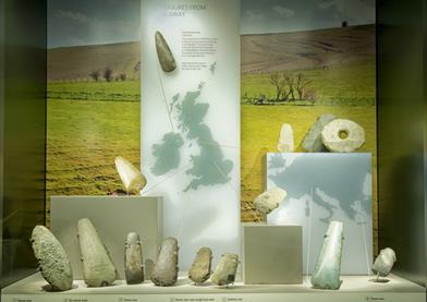 Neolithic Axe Display