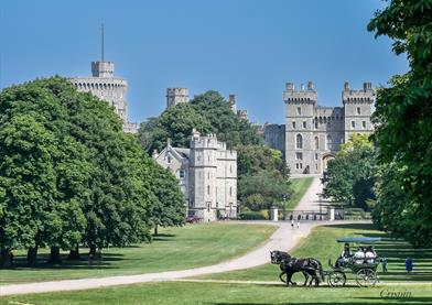 Windsor Carriages