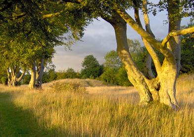 Stonehenge Landscape