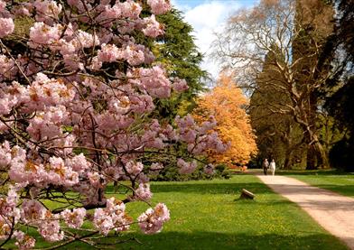 Westonbirt, The National Arboretum