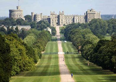 Windsor Great Park