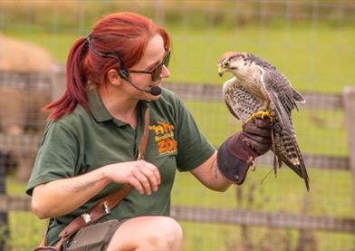 Noahs Ark Zoo Farm Keeper