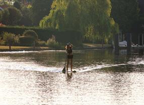 Paddleboarder on the river