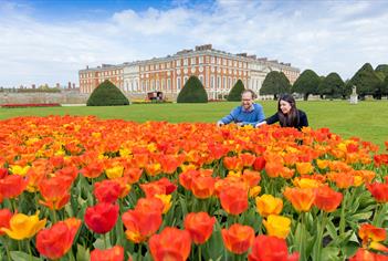 Tulip Festival at Hampton Court Palace