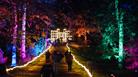 Windsor Great Park Illuminated ©Eric Aydin Barberini