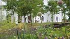 Strawberry Hill House from the garden