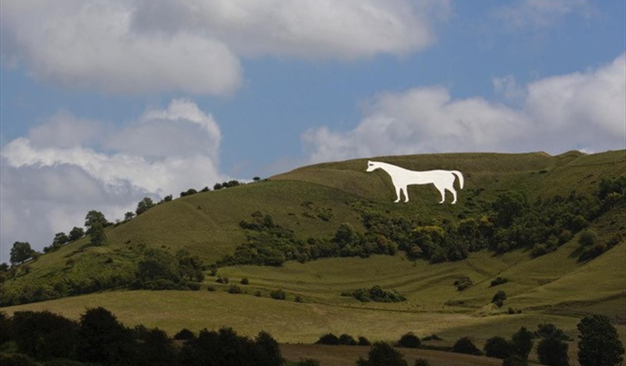 Westbury White Horse Summer Wiltshire