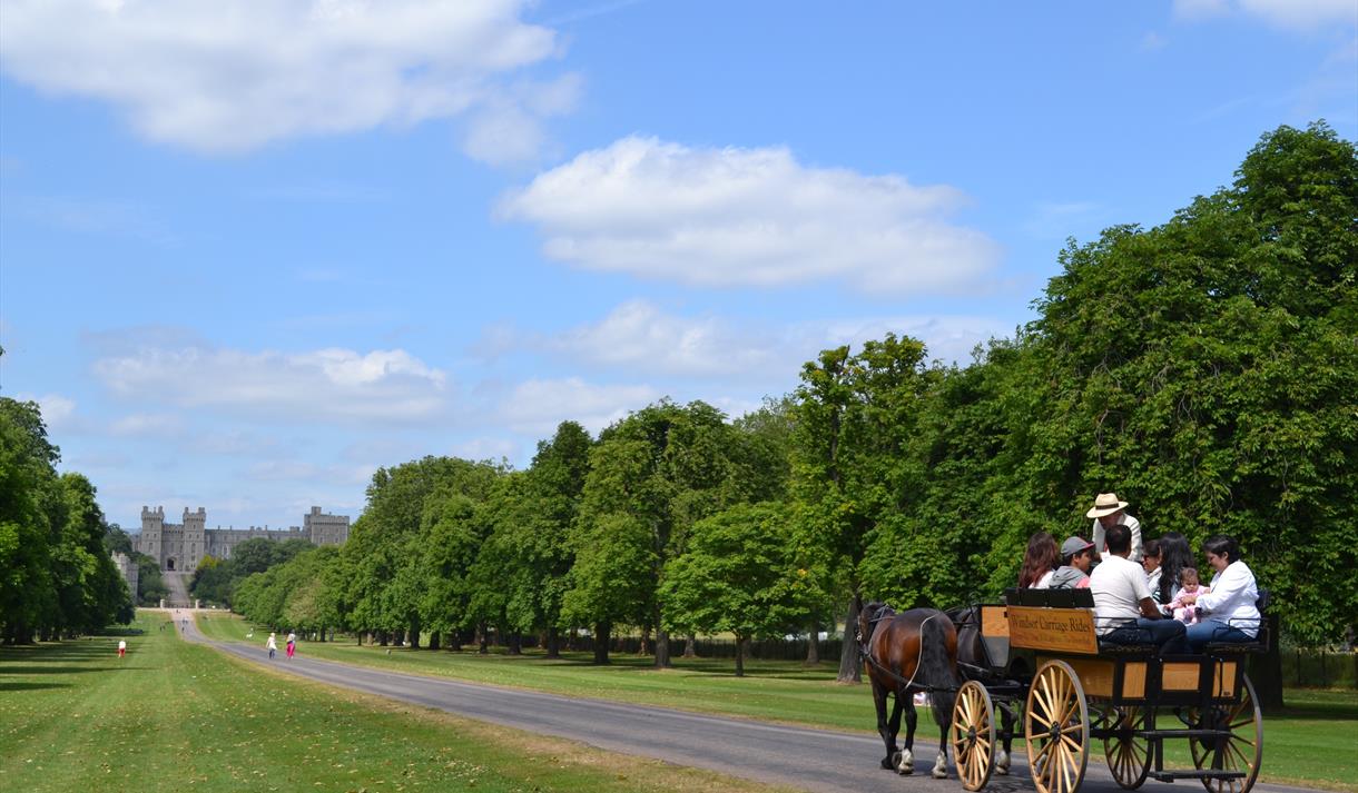 Carriage rides in Windsor Great Park