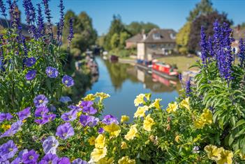 flowers surrounding the canal