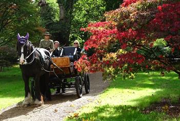 Ascot Carriages in Windsor Great Park