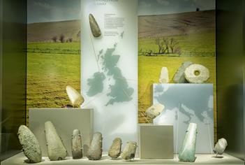 Neolithic Axe Display