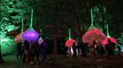 Large bright light installations in forest