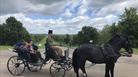 Romantic horse drawn carriage ride