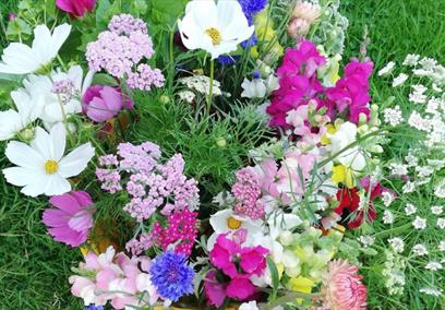 Beginners Guide to Growing Your Own Cut Flowers