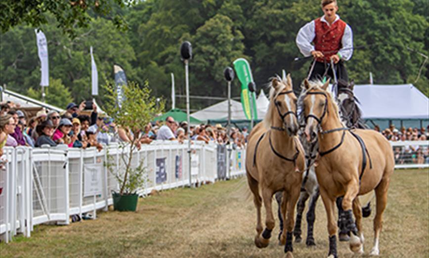 New Forest & Hampshire County Show