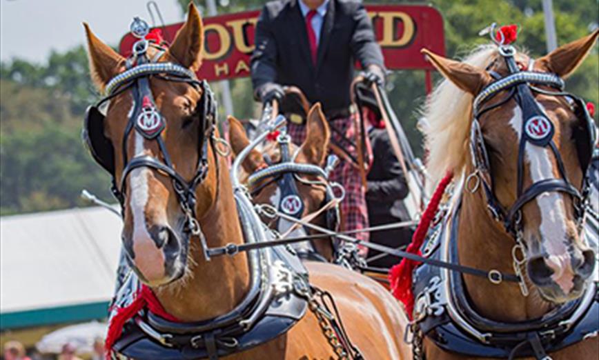 New Forest & Hampshire County Show