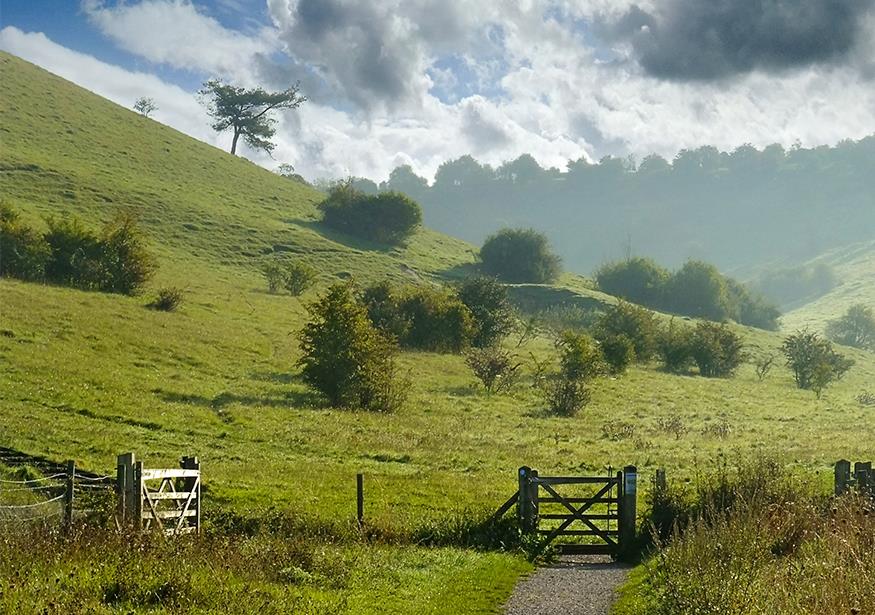 South Downs National Park