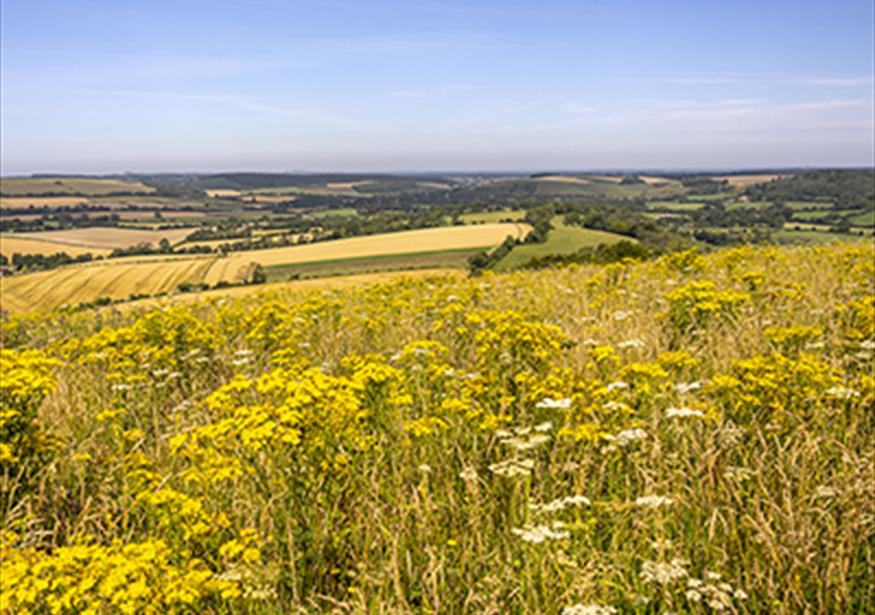 South Downs National Park